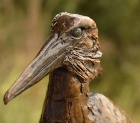 Hamerkop