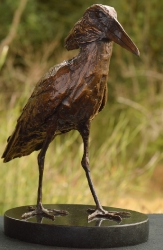 Hamerkop