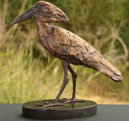 Hamerkop