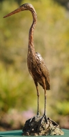 Purple Heron