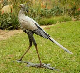 Secretary Bird 2 - Life size 