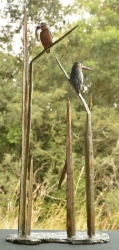 KIng Fishers 6
