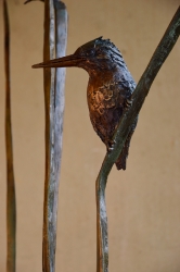 The King Fishers
