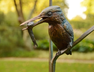 The King Fishers