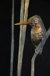 The King Fishers