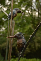 The King Fishers