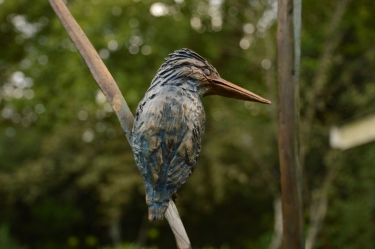 The King Fishers