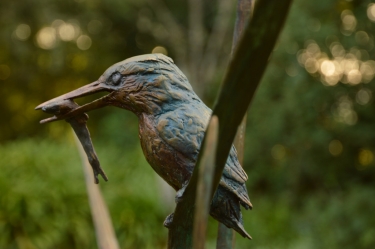 The King Fishers