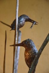 The King Fishers