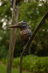 The King Fishers
