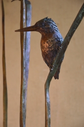 The King Fishers
