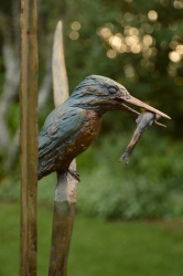 The King Fishers