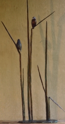 The King Fishers