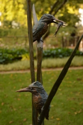 The King Fishers