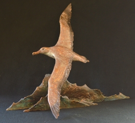 Wondering Albatross - maquette
