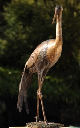 Wattled Crane life size