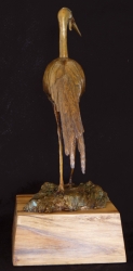 Wattled Crane maquette