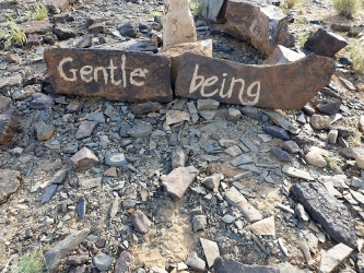 Gentle being