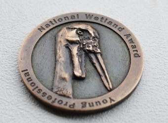 Wattled Crane Relief Medal