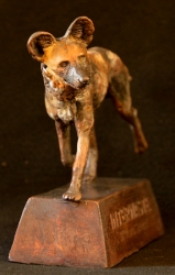 Wild Dog Interwaste 30 year award