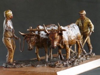 Working together - Ploughing oxen